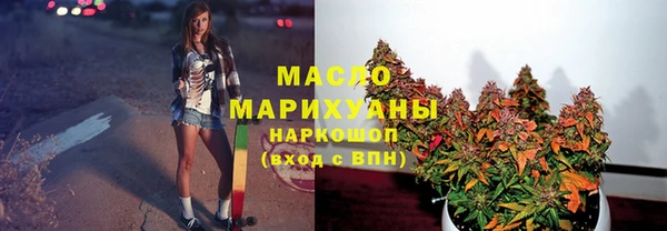 МДПВ Каменка
