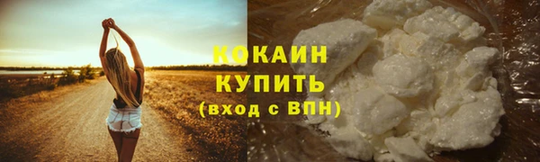 СК Вязьма