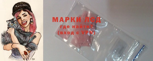 СК Вязники
