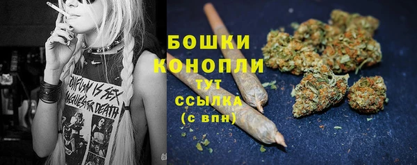 СК Вязьма