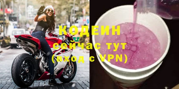 СК Вязьма