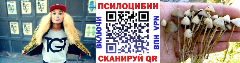 где купить наркоту Каргат Галлюциногенные грибы Psilocybe